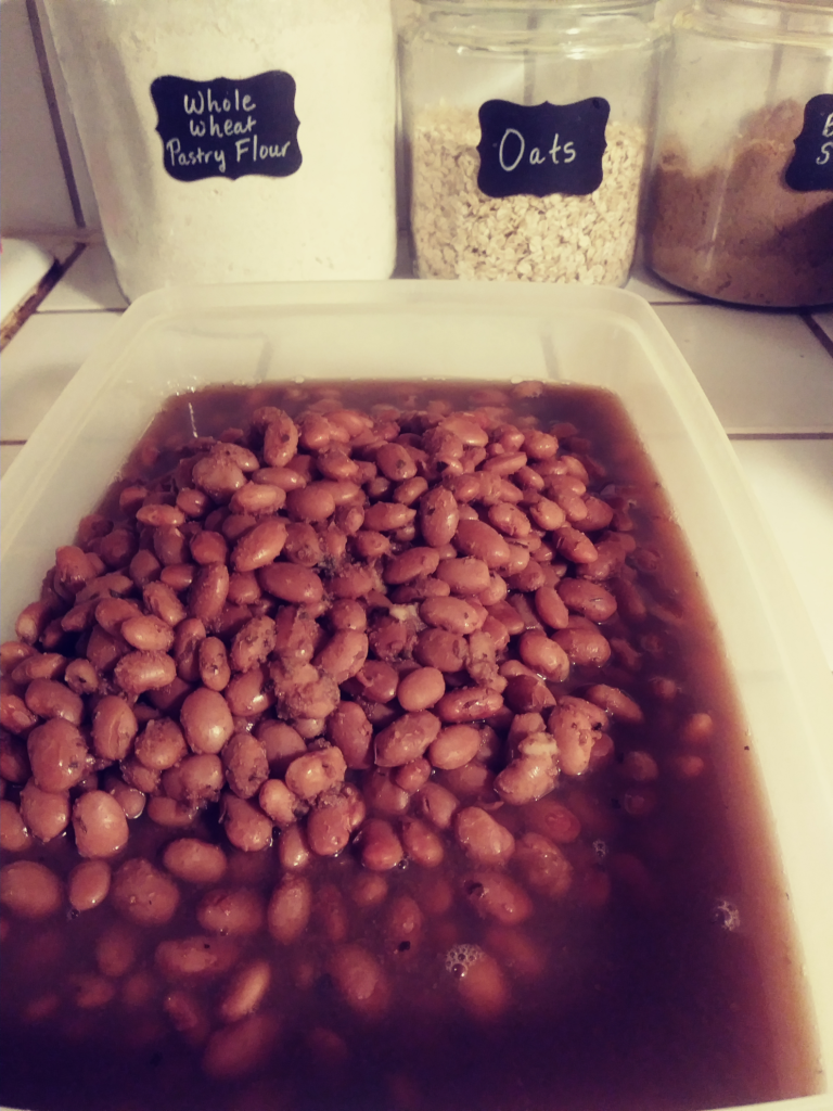 pinto beans whole homemade