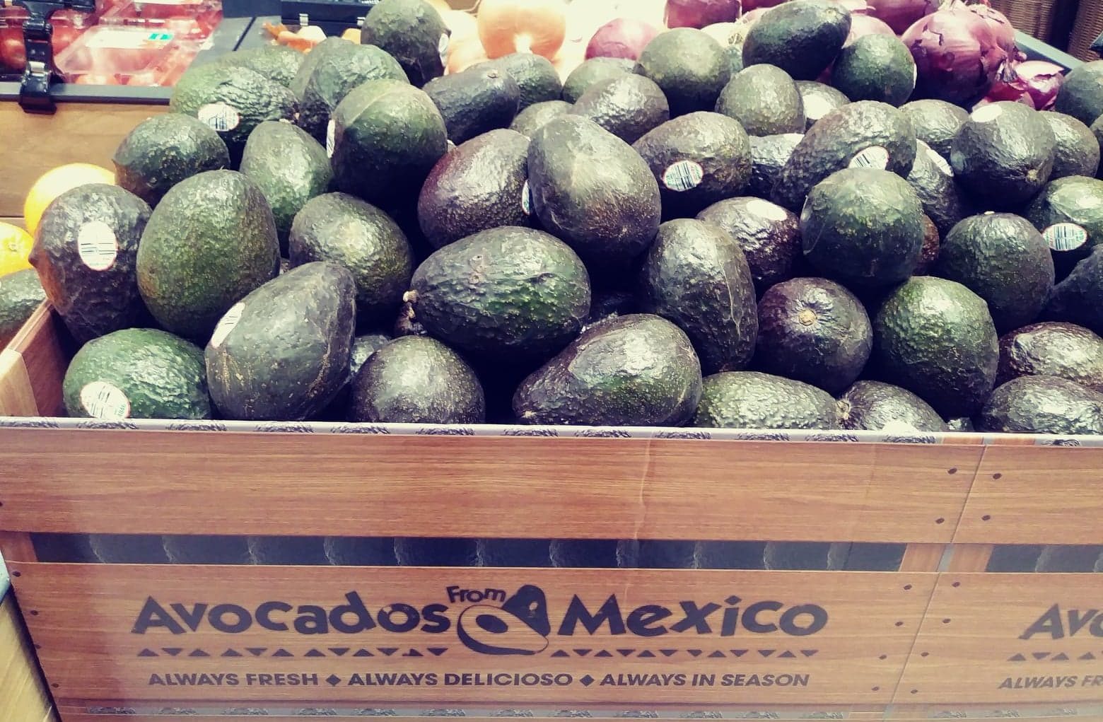 bin of avocados from Mexico