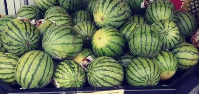 pile of small watermelons