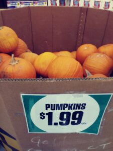 Pumpkins in a bin marked $1.99