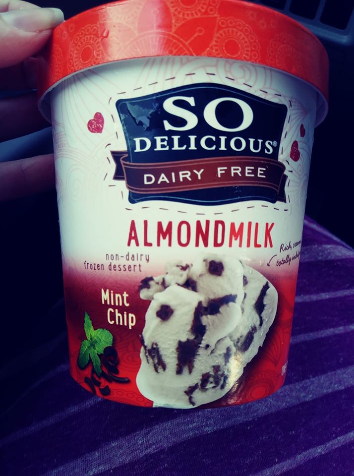 So Delicious Almond Mint Chip Ice Cream
