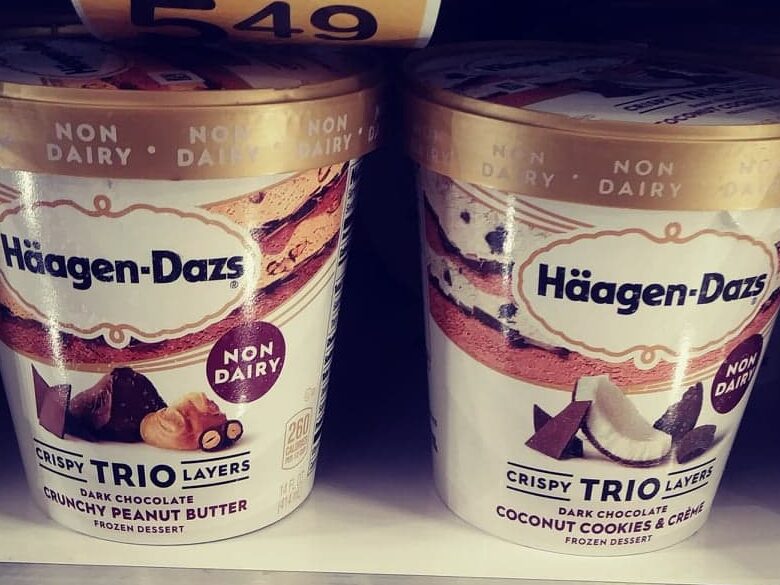 Haagen Dazs Ice Cream Non-Dairy