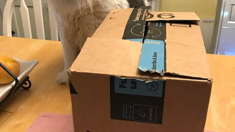 The Penny Pantry Mystery Box of Prizes with my cat Ace