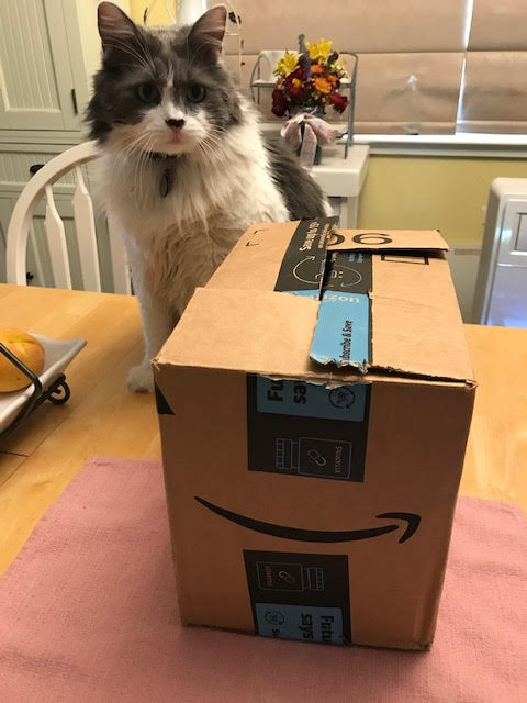 my cat Ace with Mystery box of prizes