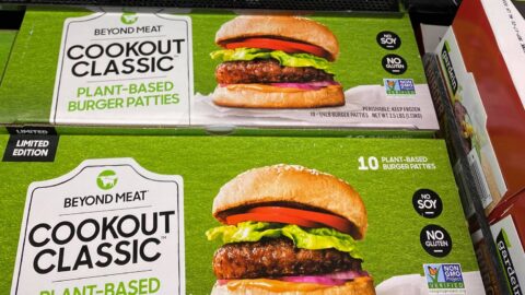 Cookout Pack of Beyond Burgers