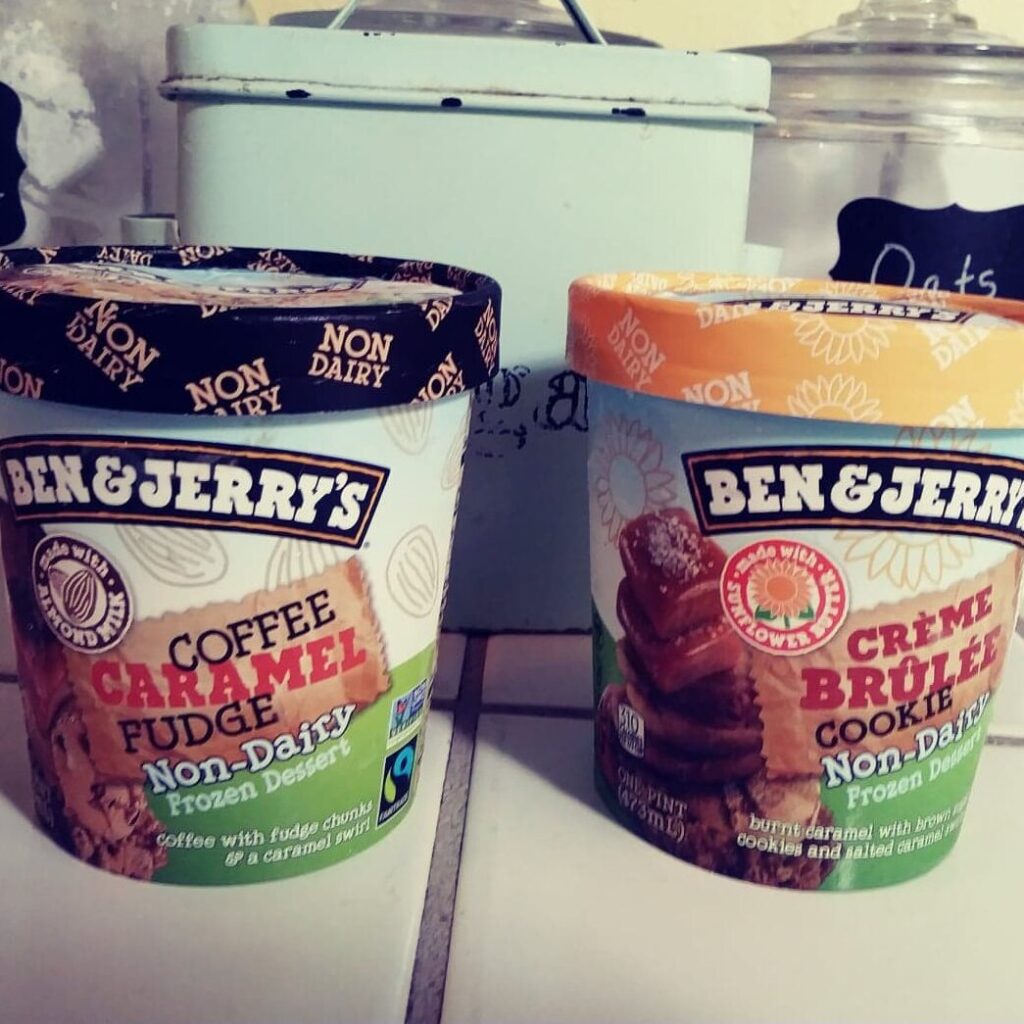 Ben & Jerry's Non-Dairy Ice Cream