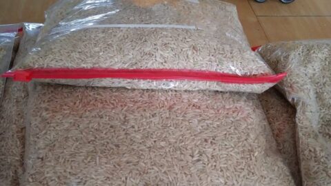 Rice in ziploc bags