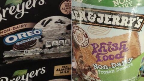 Non-Dairy Breyers Oreos Cookies & Cream-and-Ben-and-Jerrys Phish Food