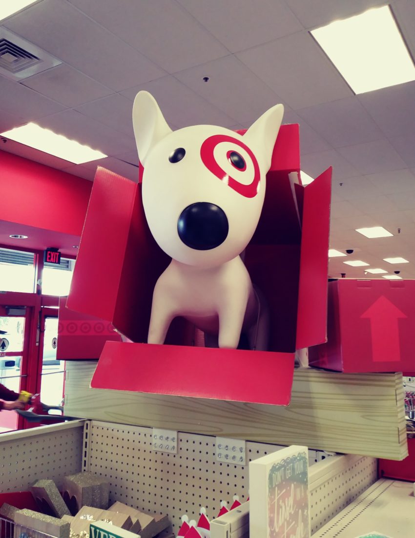 Target Dog in box