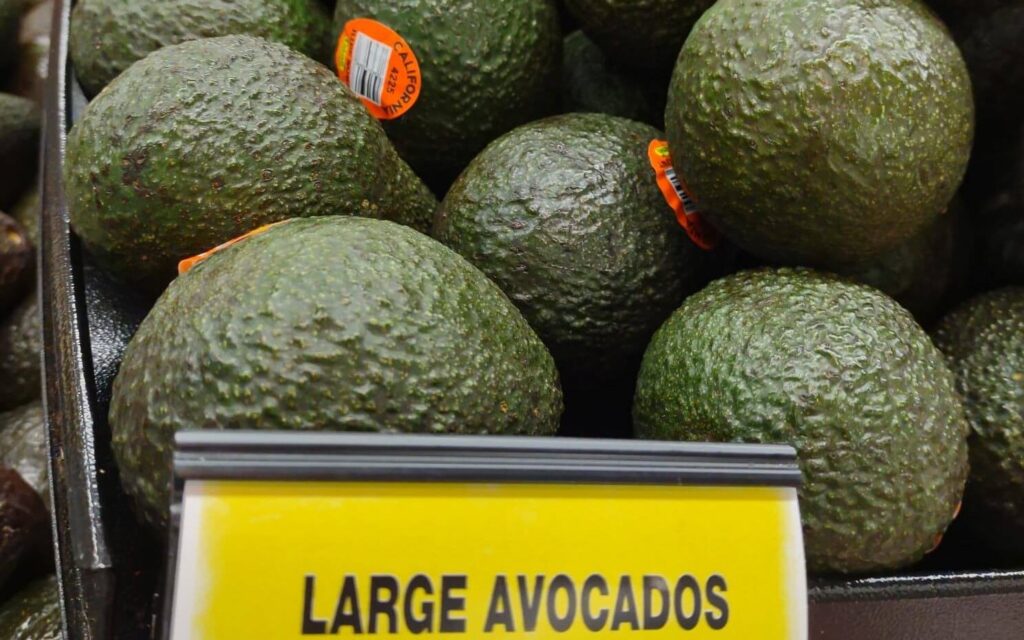 large avocados at Safeway