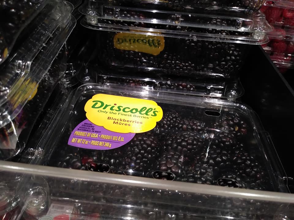 pack of Driscoll's blackberries