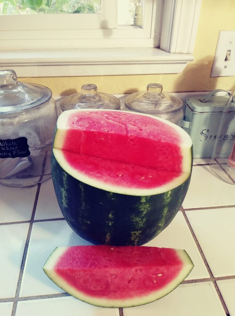 Whole watermelon with one slice out