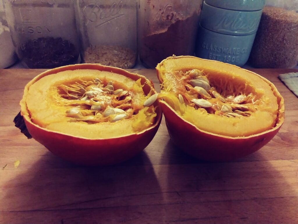small pumpkin cooked and cut in half with seeds on my cutting board