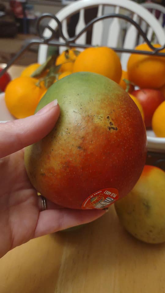 mango, holding it closeup