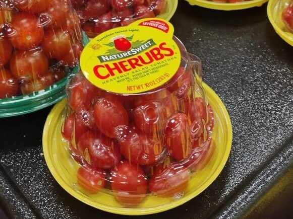 Cherubs cherry tomatoes in plastic dome