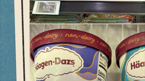 Collage with Amy's frozen vegan ravioli and Haagen Dazs Sorbets